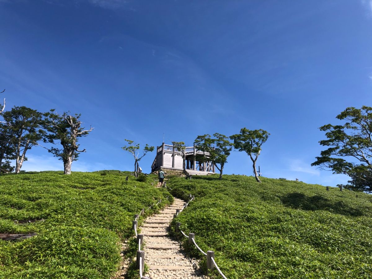 奈良県と三重県の県境、近畿地方の最高峰大台ケ原の日出が岳に行ってきました。...