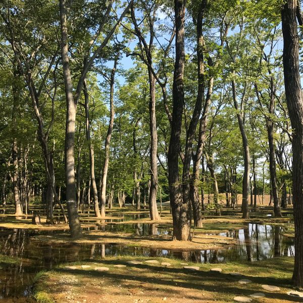 日本・那須塩原市「Antique City 那須塩原 Chus,Artbiotop」の写真