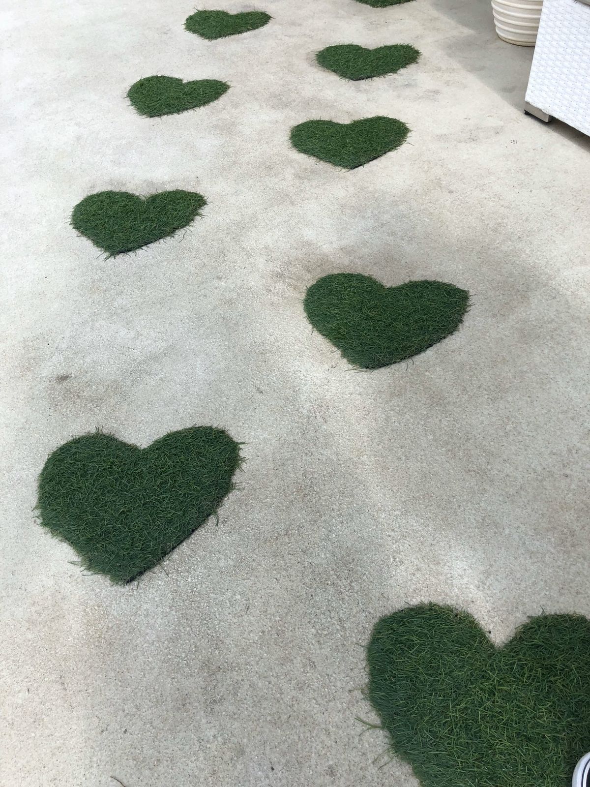 ウミカジテラス🐠