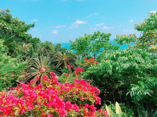 日本・沖縄「沖縄🇯🇵」の写真