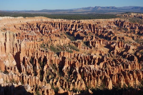 アメリカ(米国)・ラスベガス「アメリカ　ロードトリップ」の写真