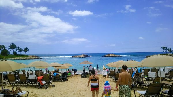 アメリカ(米国)・ハワイ「ハワイ家族旅行」の写真