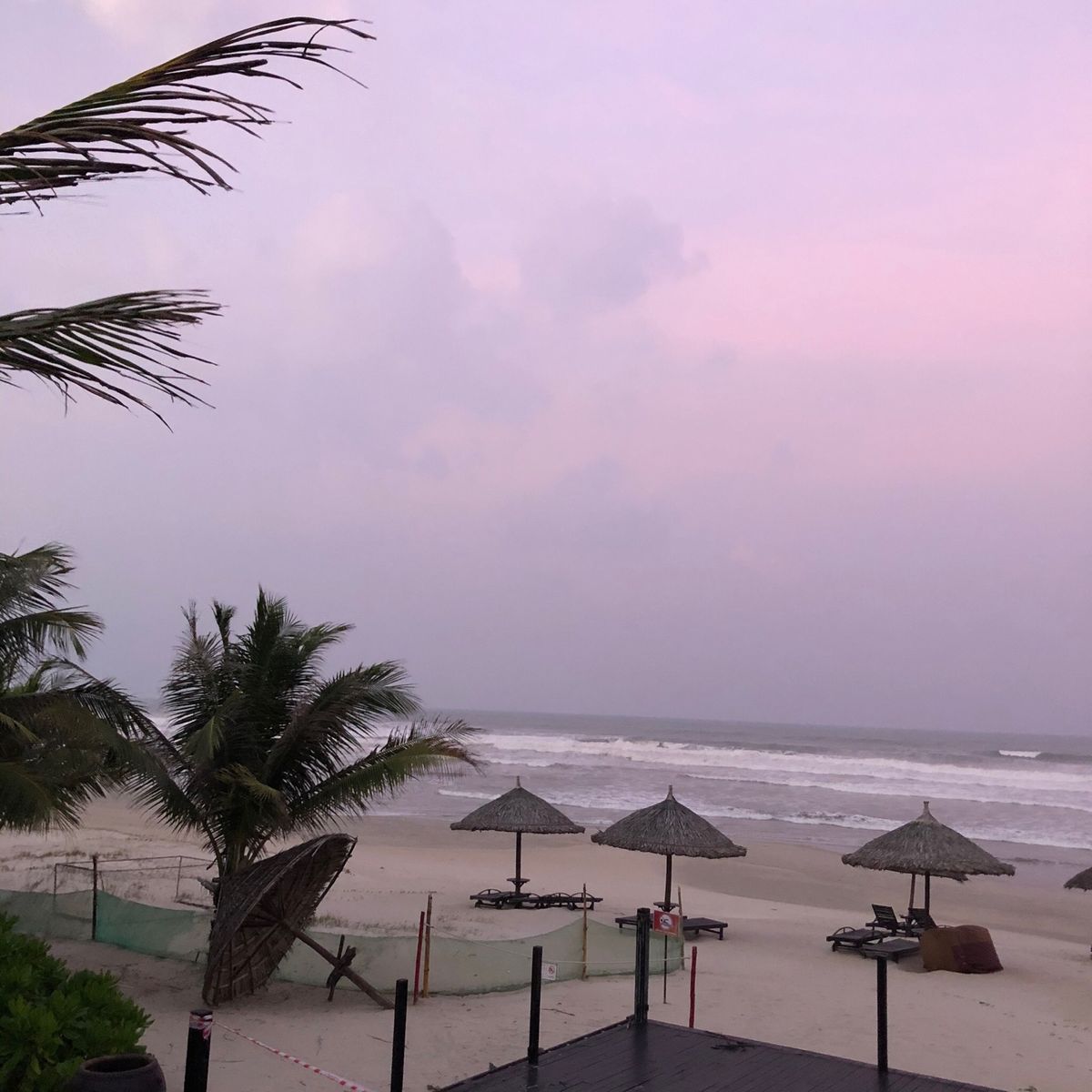 マイルじゃなくてeJALポイントを使い、突発的に2泊4日でベトナム・ダナン...