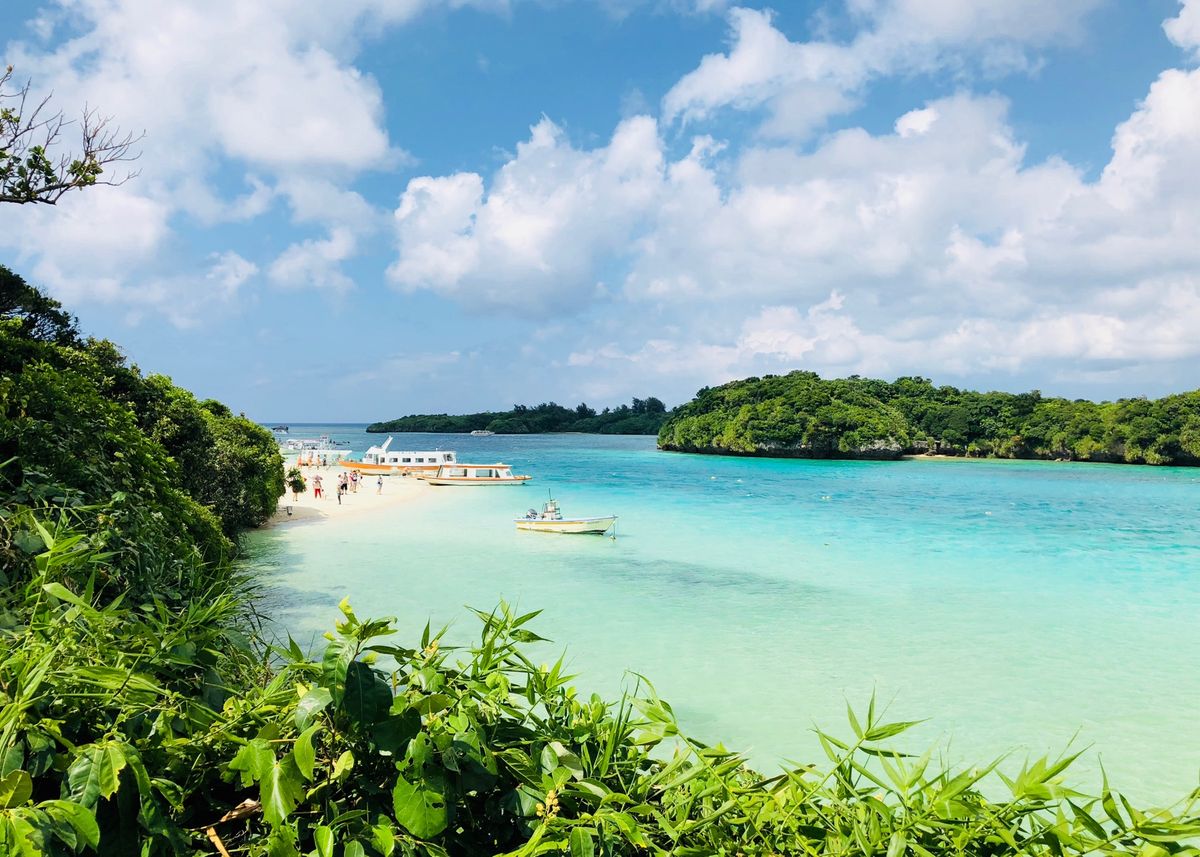 川平湾
亀さん見えたよー😆