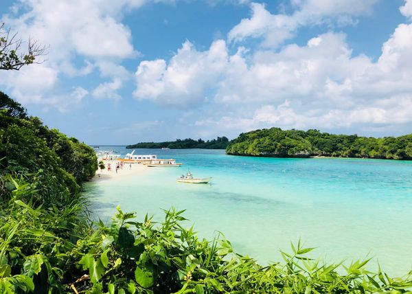 日本・石垣島「石垣島旅行」の写真：川平湾
亀さん見えたよー😆