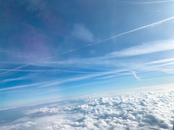 イギリス(英国)・ロンドン「LONDON🇬🇧2019」の写真