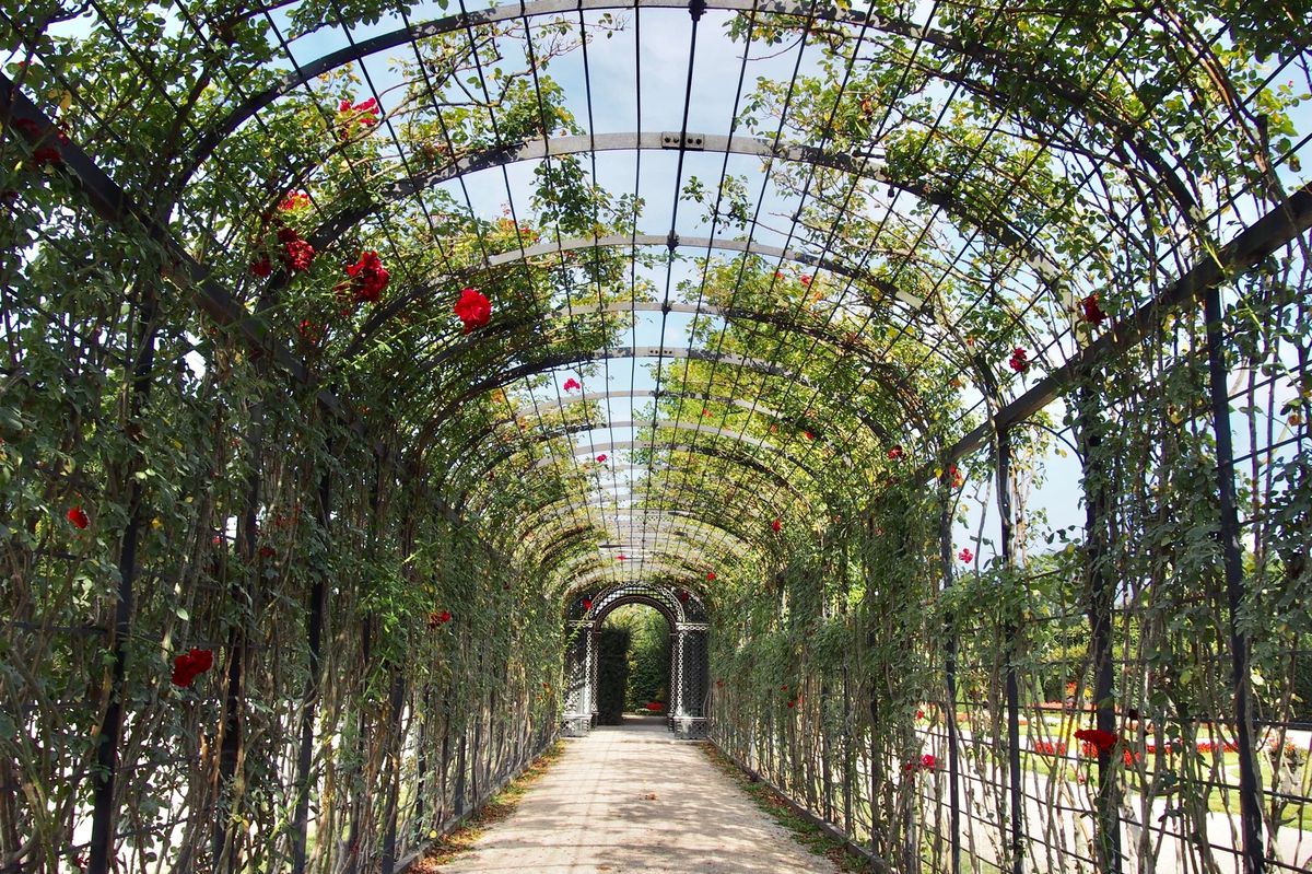 シェーンブルン宮殿🏰