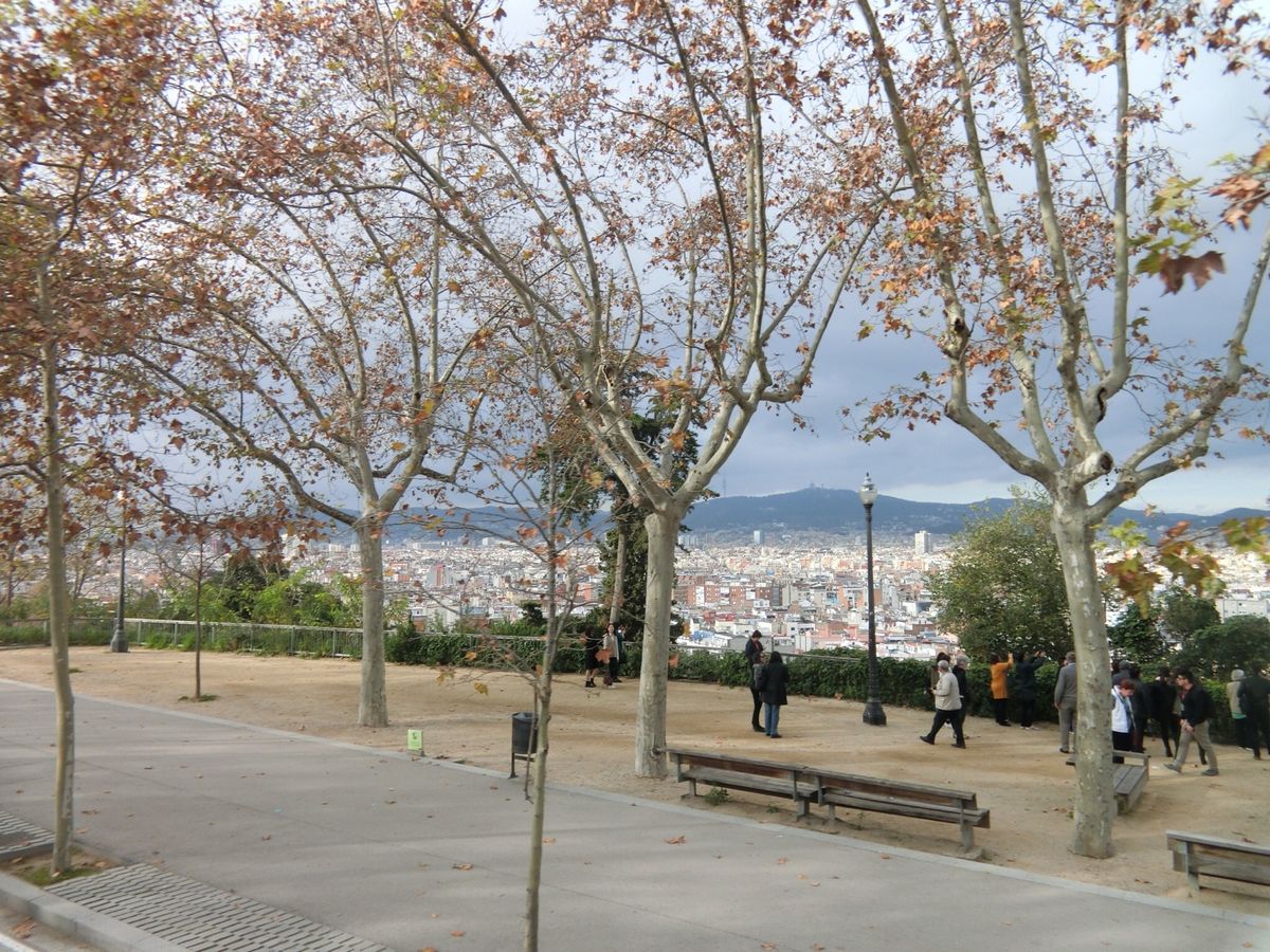 タブラオでフラメンコを鑑賞したのですが、後半は時差ボケで睡魔に勝てず退出し...