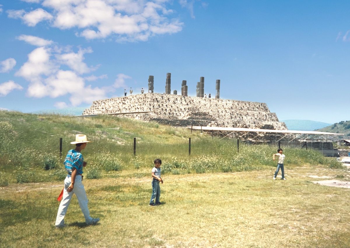 サボテン🌵を食べたんだ(覚えてないわ)
サボテンの新芽は甘くて美味しいかっ...