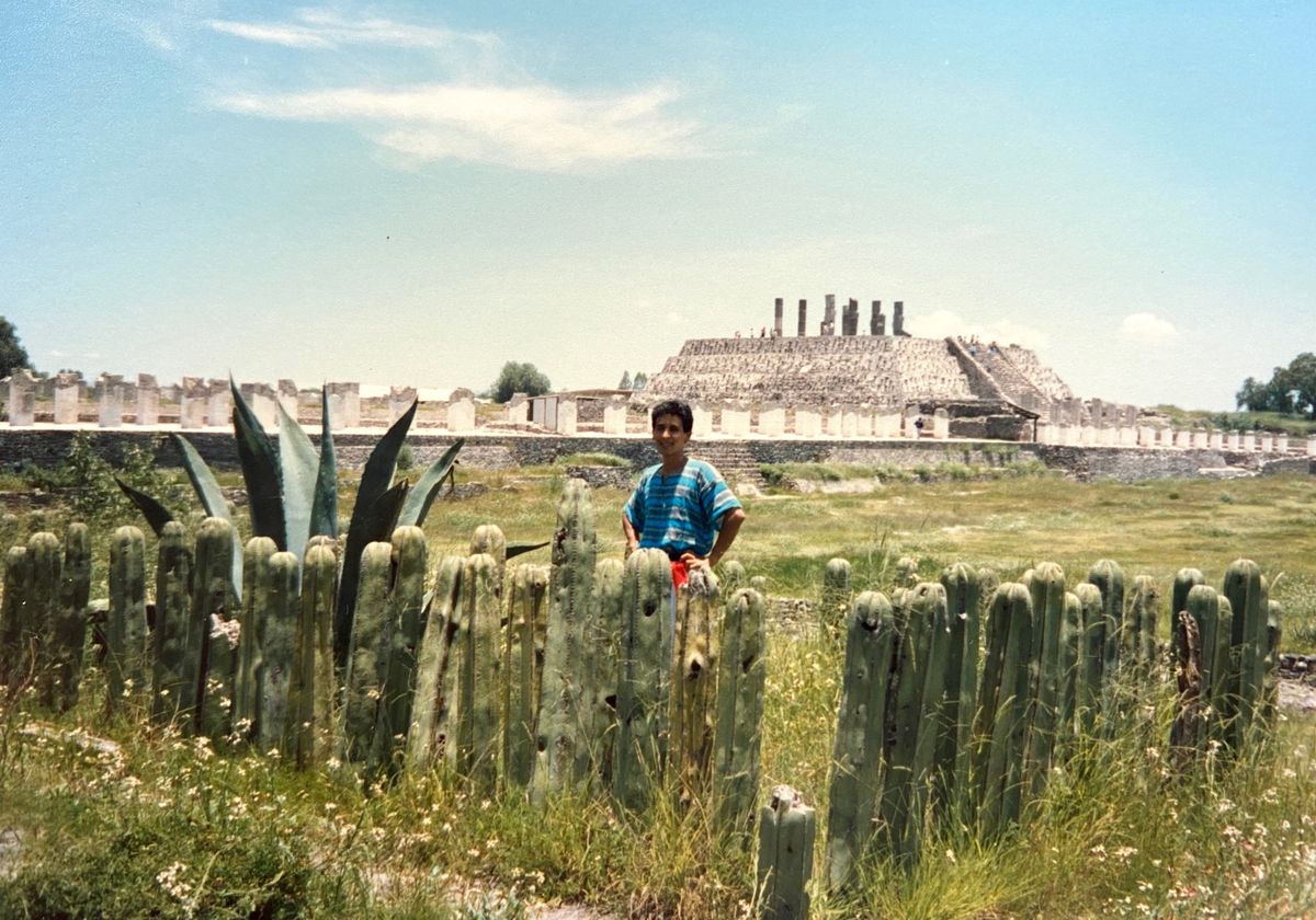 サボテン🌵を食べたんだ(覚えてないわ)
サボテンの新芽は甘くて美味しいかっ...