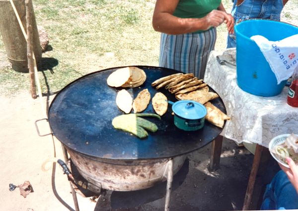メキシコ「メキシコ 周遊」の写真：サボテン🌵を食べたんだ(覚えてないわ)
...