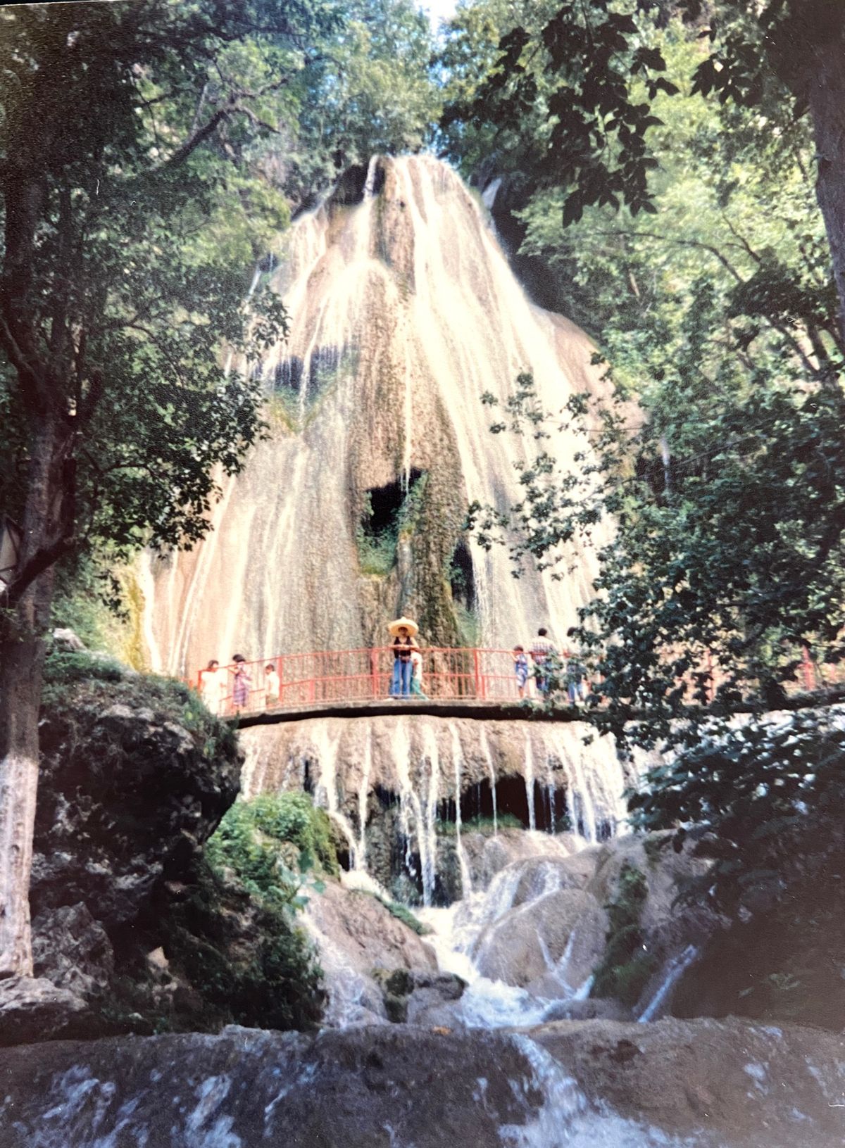 モンテレー🇲🇽馬の尻尾の滝

Cascada Cola de Caballo