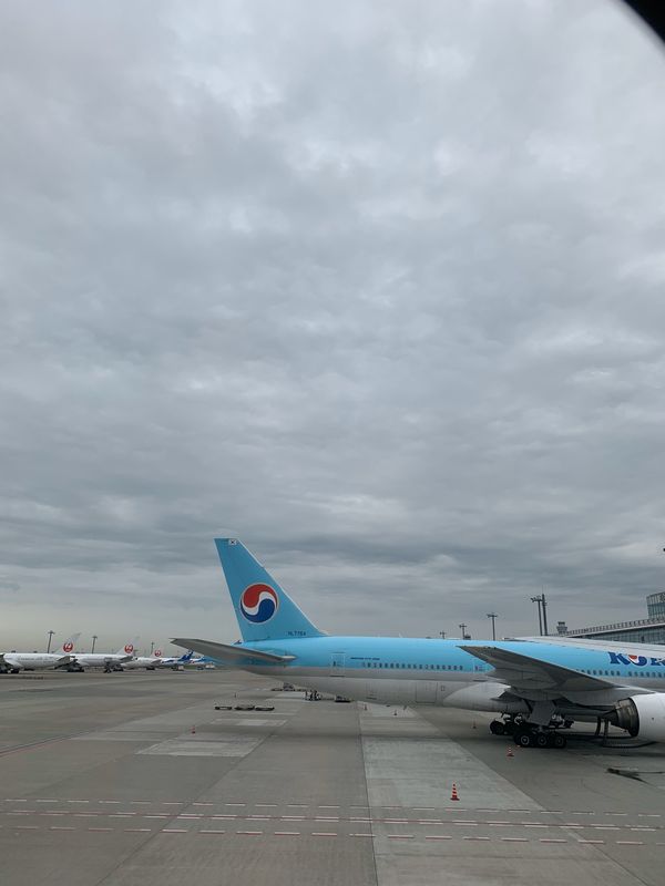 大韓民国 (韓国)・ソウル「SEOUL🇰🇷2019❶」の写真