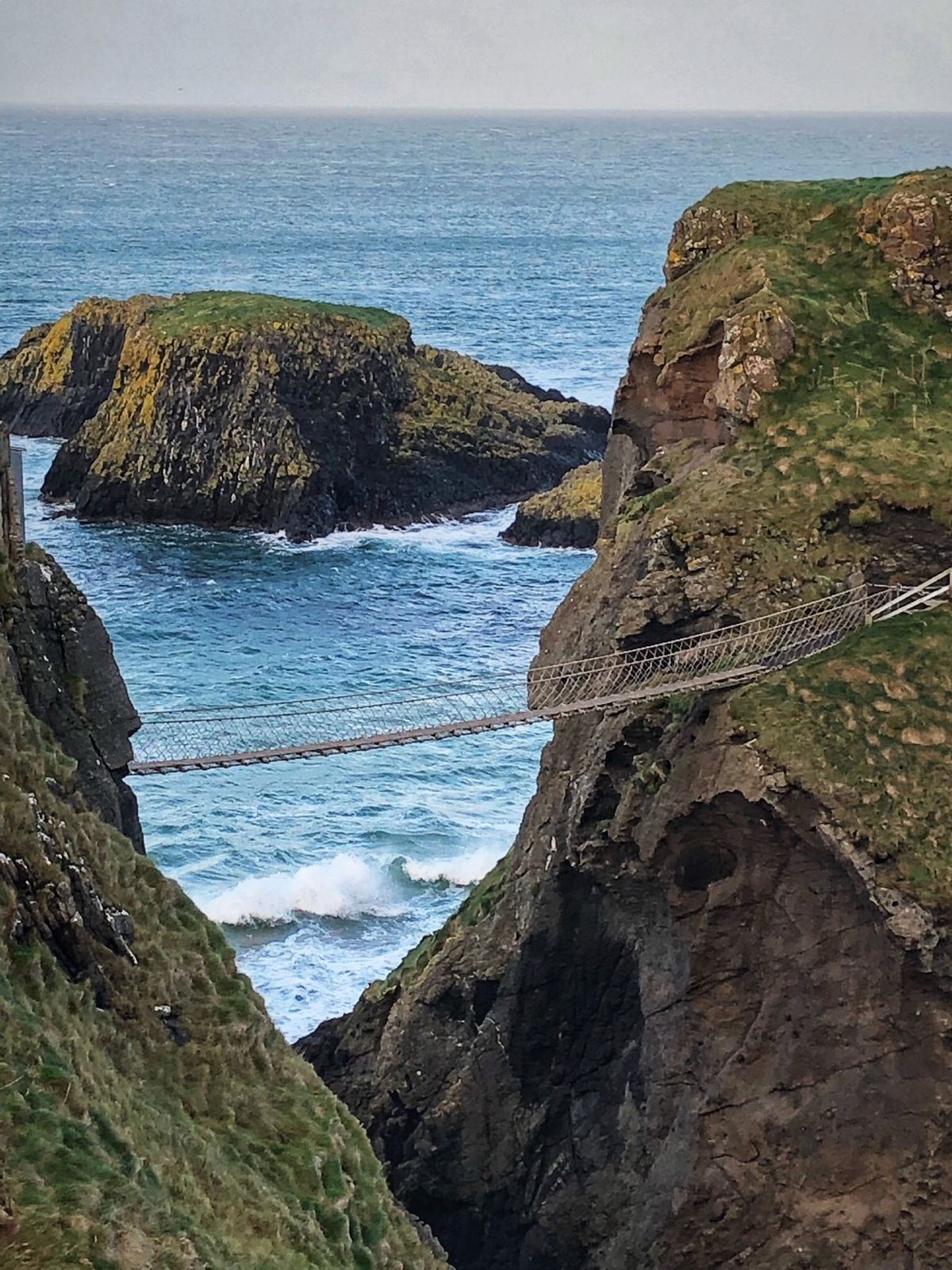 ジャイアンツコーズウェイ