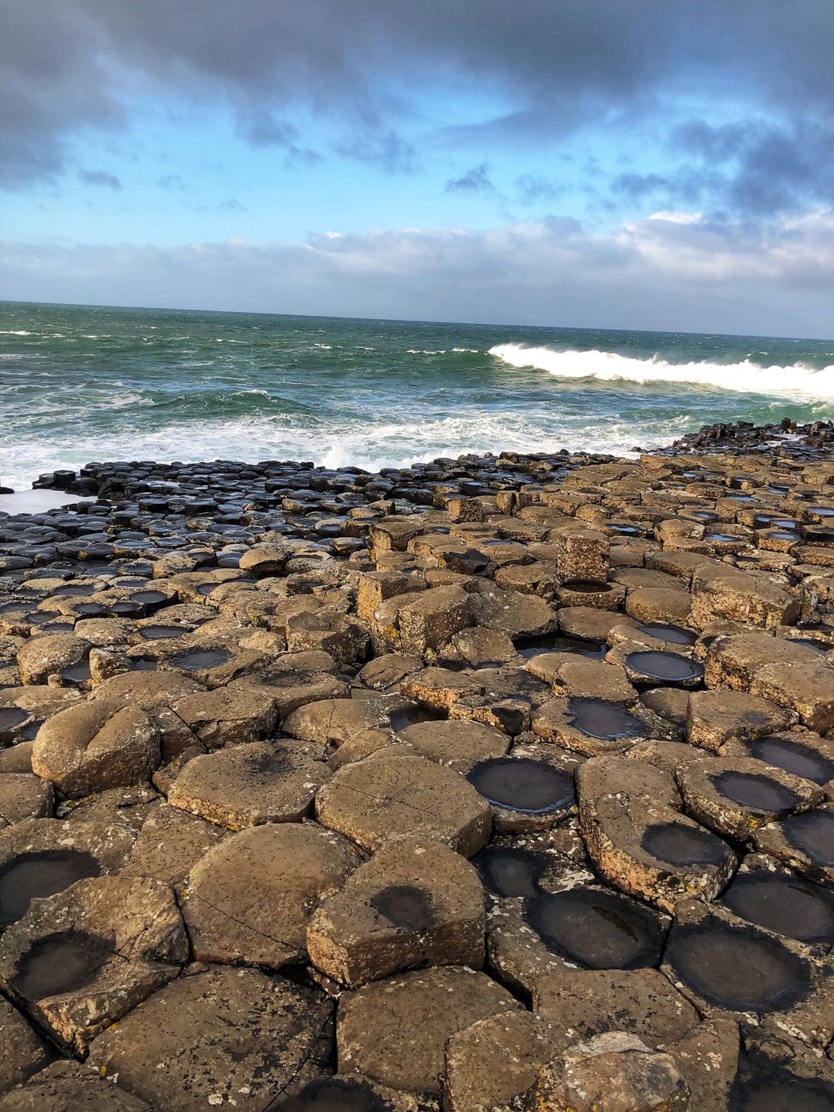 ジャイアンツコーズウェイ