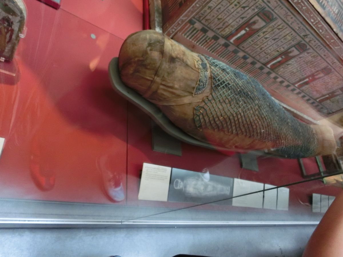 大英博物館🇬🇧

ミイラが…ミイラが…！レントゲン画像まで…！！

4枚目...