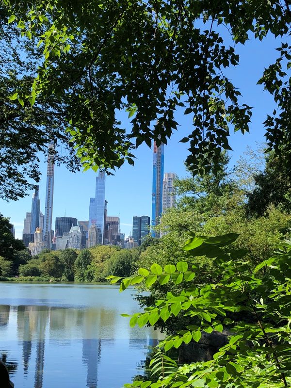 アメリカ(米国)・サンフランシスコ「サンフランシスコ ・ニューヨーク旅行」の写真:セントラルパークで朝ごはん✨
パンとコー...