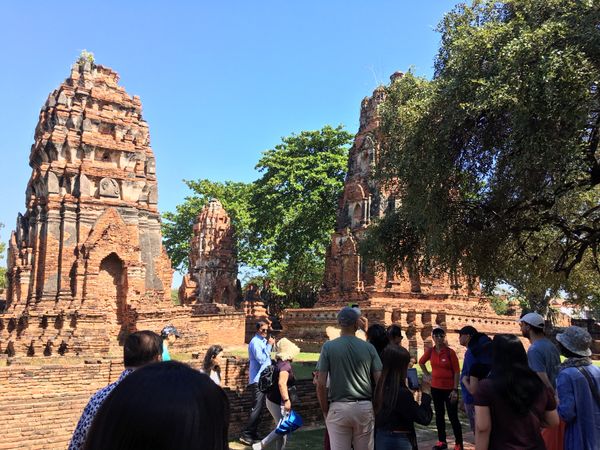 タイ「タイ」の写真