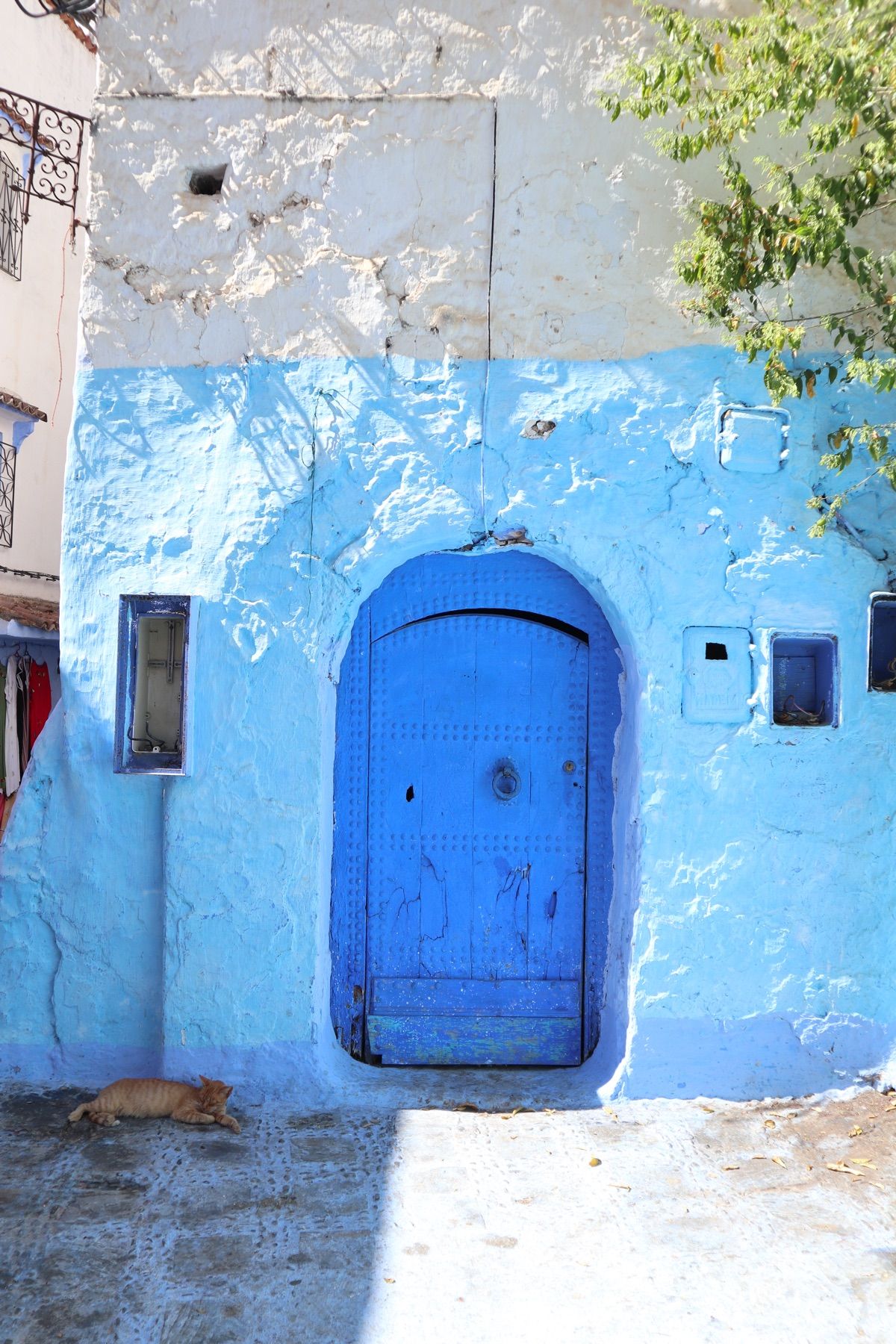 １〜４）シャウエンのネコ