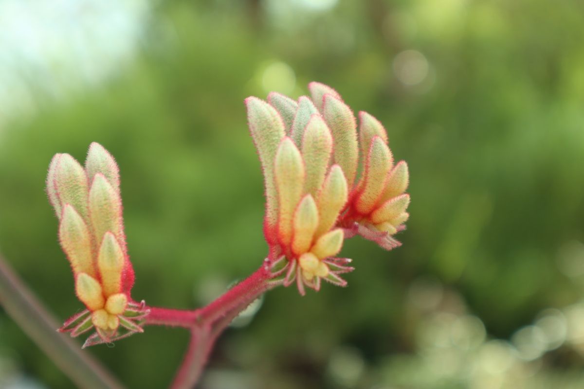 １〜４）ガーデンズ・バイ・ザ・ベイ