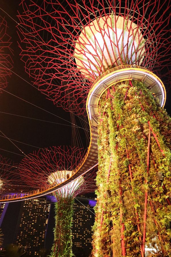 シンガポール・シンガポール「「シンガポールの旅」」の写真：1）ガーデンズバイザベイ
2）マリーナベ...