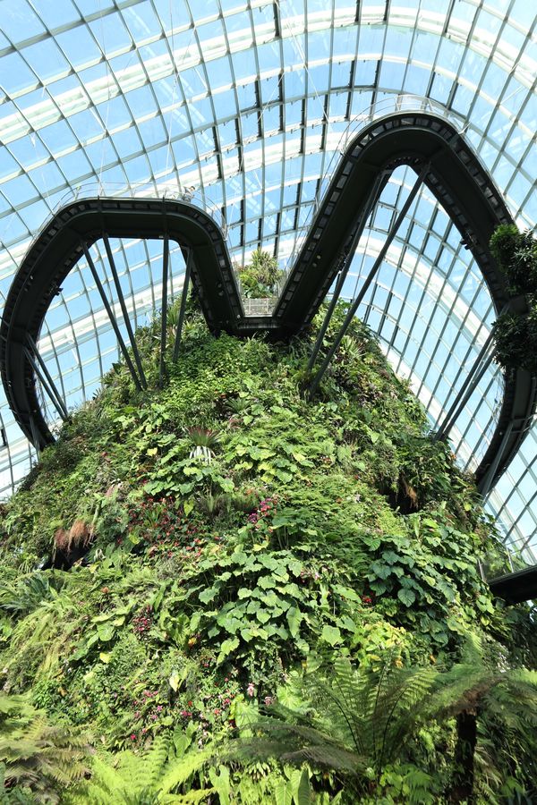 シンガポール・シンガポール「「シンガポールの旅」」の写真：１〜４）ガーデンズ・バイ・ザ・ベイ