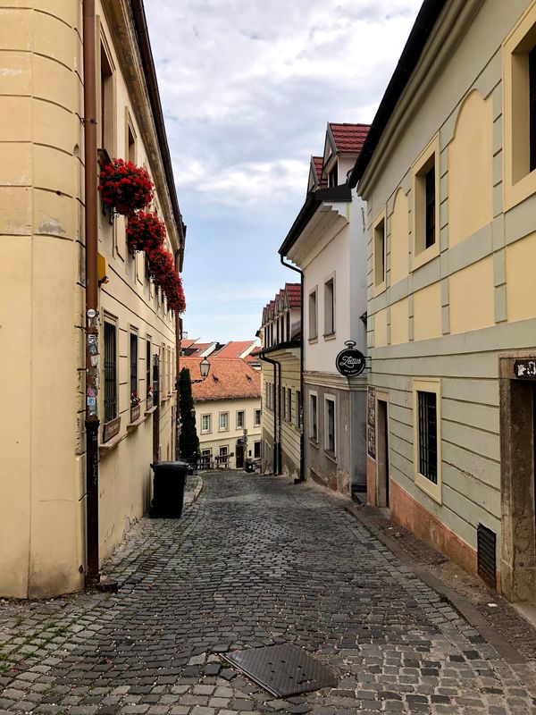 スロバキア・ブラチスラバ「東欧周遊」の写真
