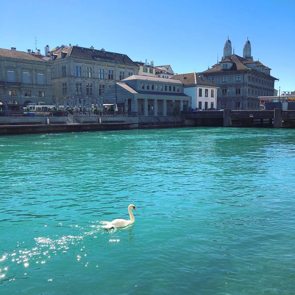 スイス・チューリッヒ「スイス、癒しの旅」の写真