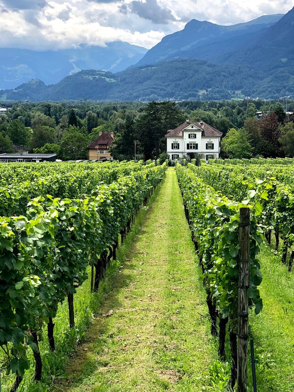 リヒテンシュタイン・ファドゥーツ「リヒテンシュタイン日帰り」の写真