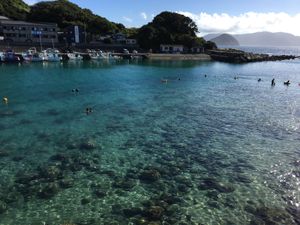 柏島にて
海がとてもきれい！
場所によっては沖縄と比べられるくらいの透明度...