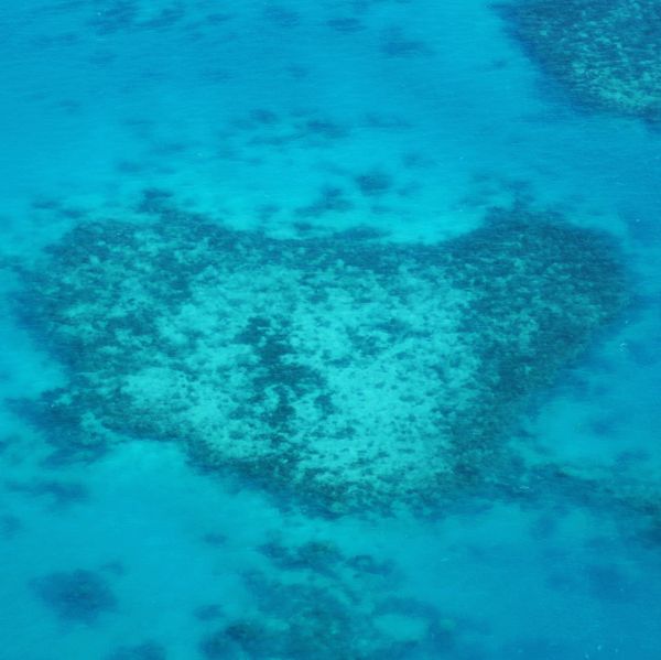 オーストラリア連邦・ゴールドコースト「「オーストラリアの旅」」の写真：１〜４）世界遺産グレートバリアリーフ
1...