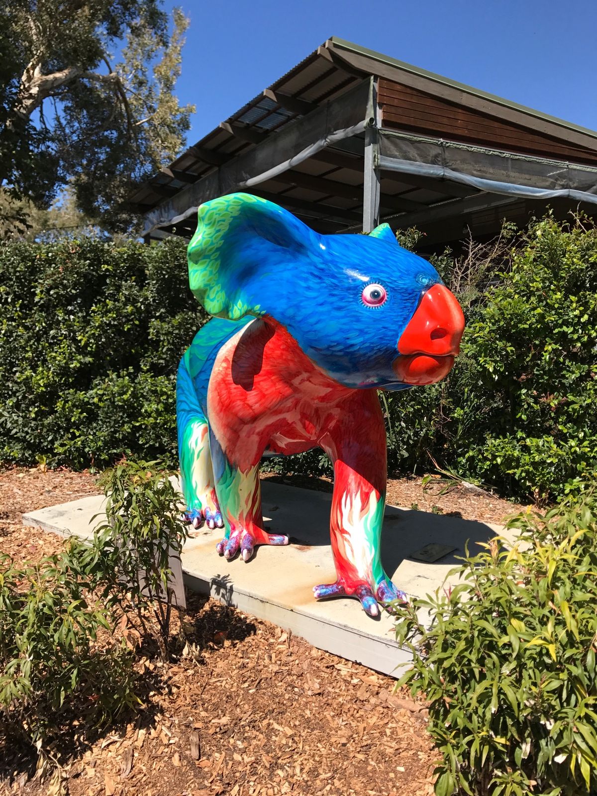 １〜４）カランビン・ワイルドライフ自然保護区