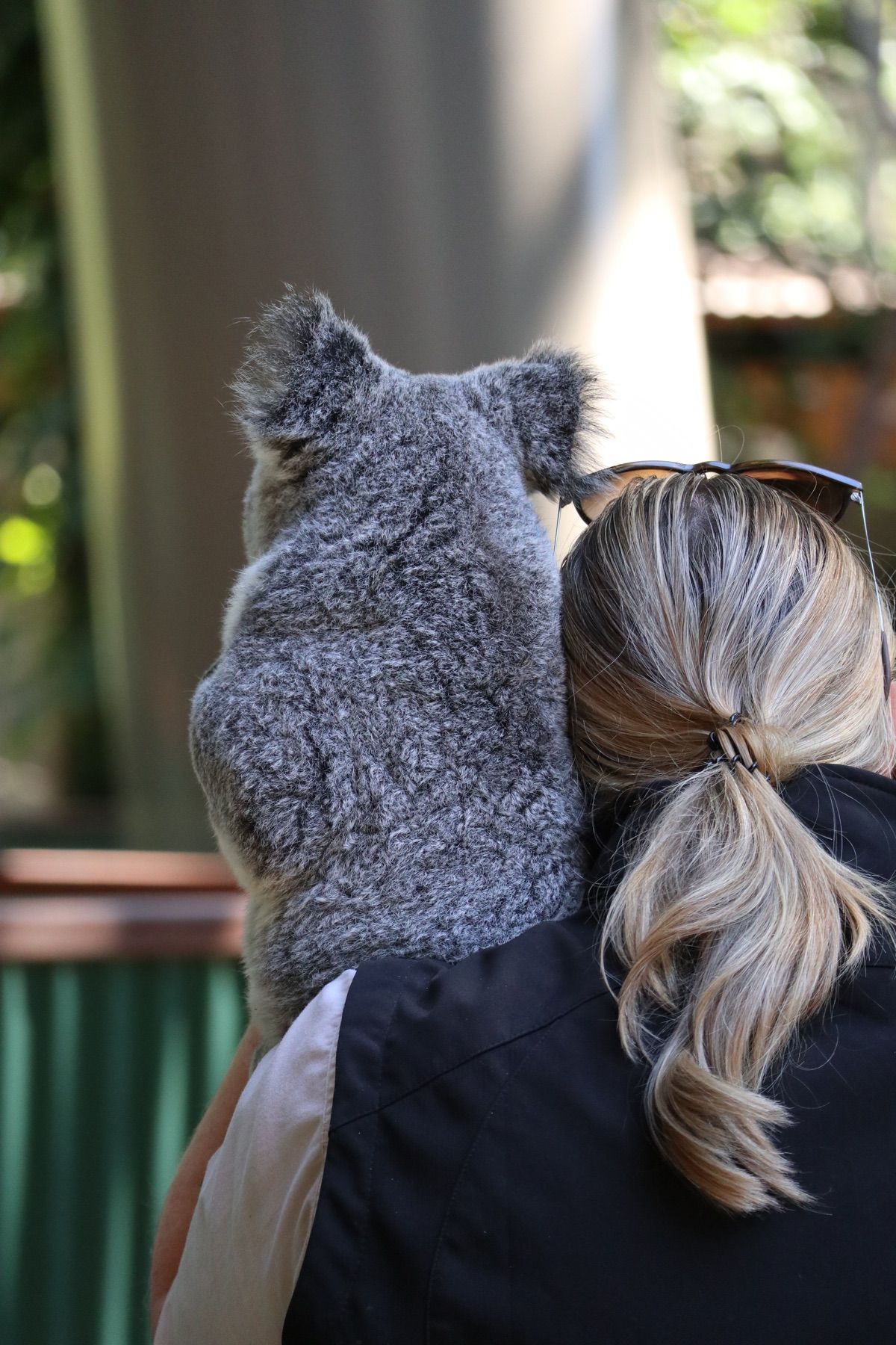 １〜４）カランビン・ワイルドライフ自然保護区
