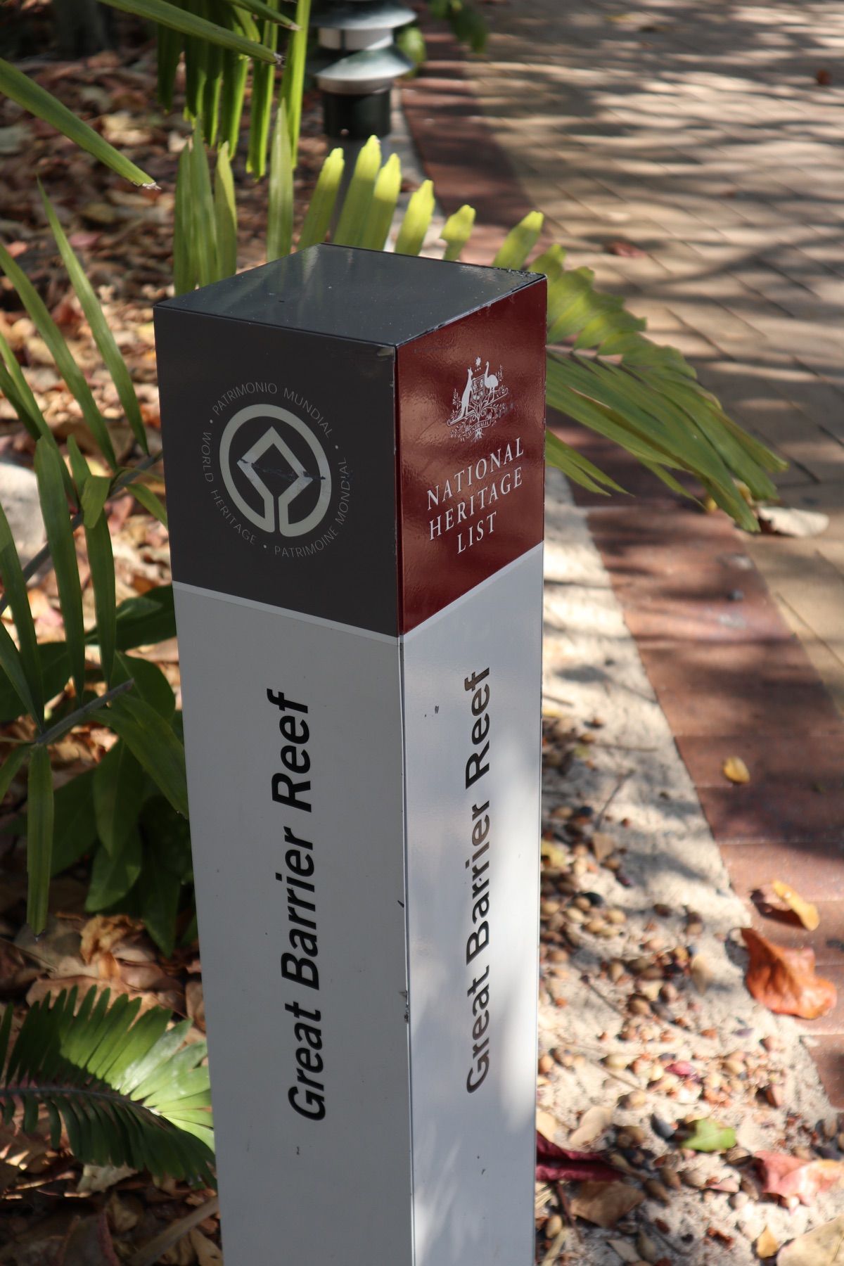 １〜４）世界遺産グレートバリアリーフ
1はコアラリーフ