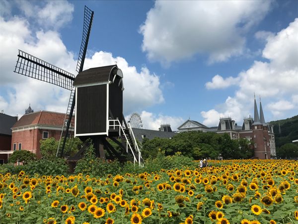 日本・長崎「「長崎の旅」」の写真：１〜４）初めてのハウステンボスと花火！