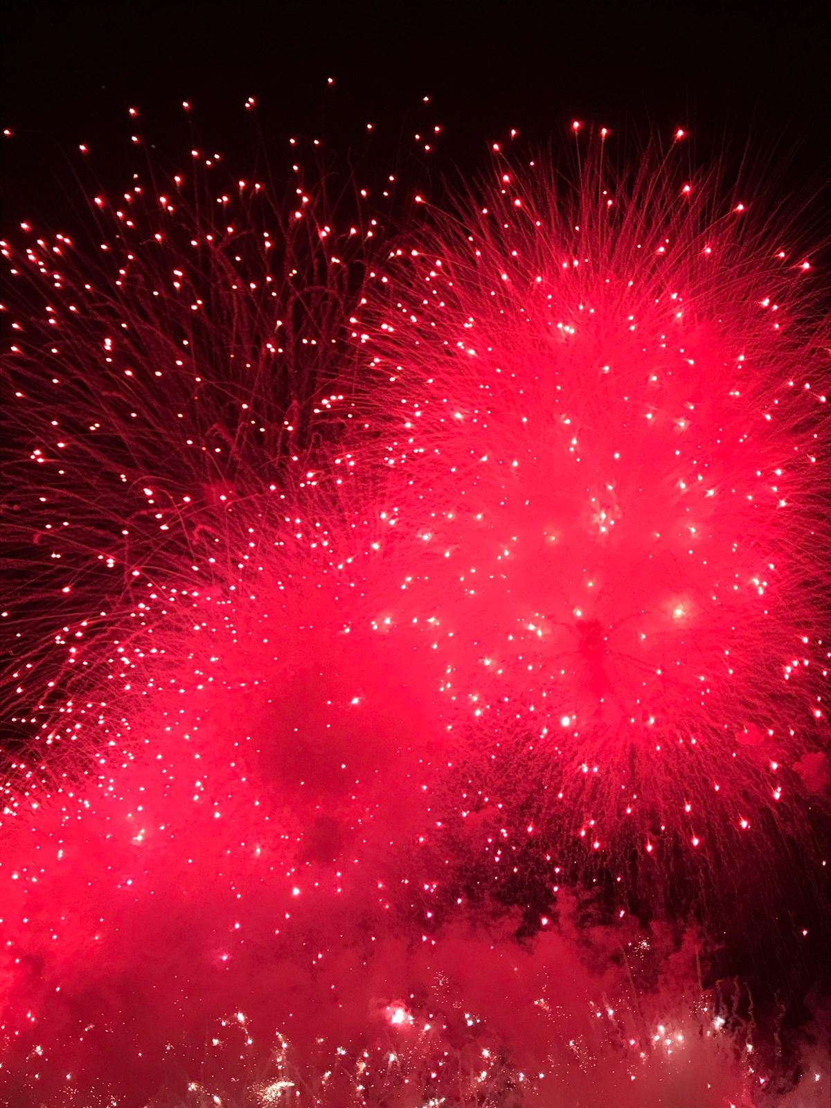 １〜４）初めてのハウステンボスと花火！