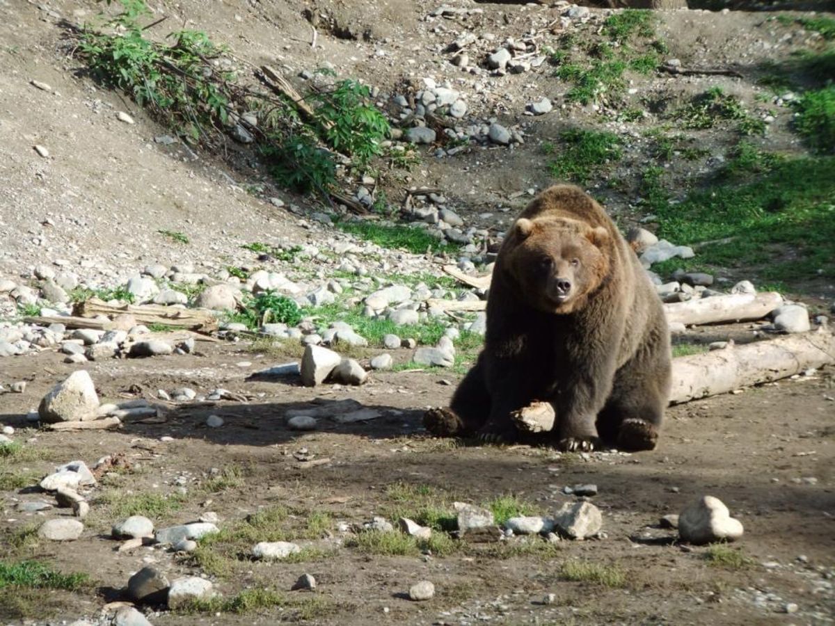 Alaska has its own culture and unique...