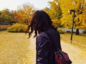 Fall in Korea was incredibly beautiful.