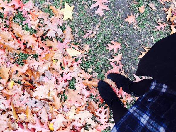 アメリカ(米国)・Boston「Boston」の写真：自然と歴史とアートの街