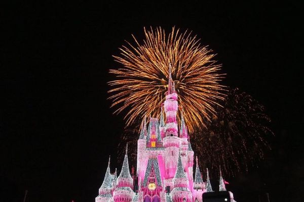 アメリカ(米国)・WDW「Florida - Walt Disney World」の写真：氷点下のNYから30℃のマイアミへ。
タ...