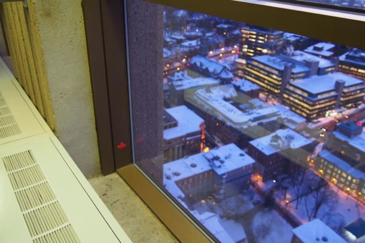 至る所にメープルリーフがいた