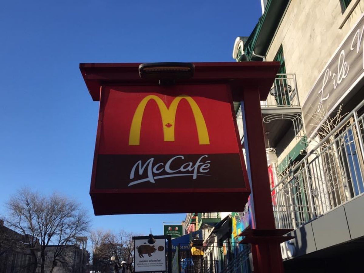 至る所にメープルリーフがいた