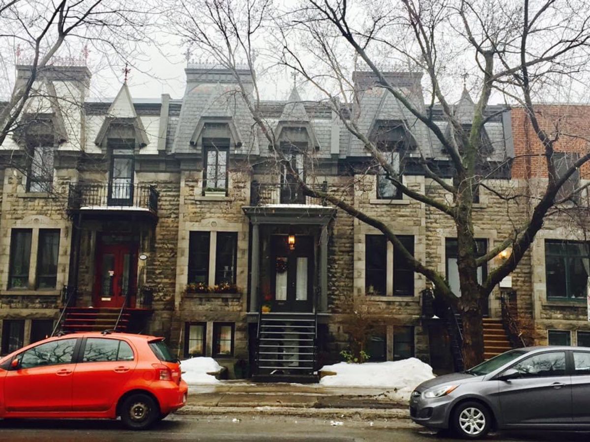 至る所にメープルリーフがいた