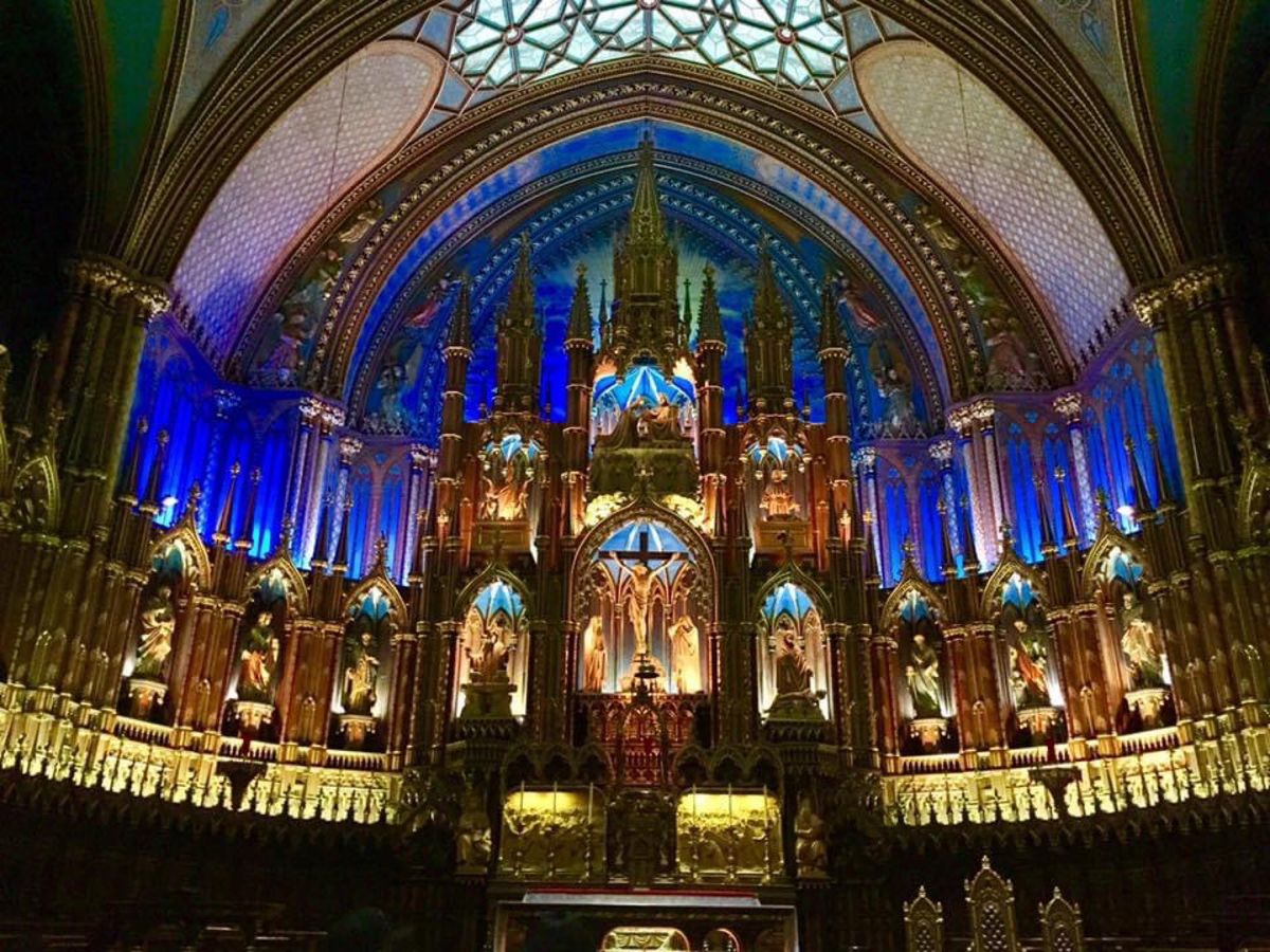 至る所にメープルリーフがいた