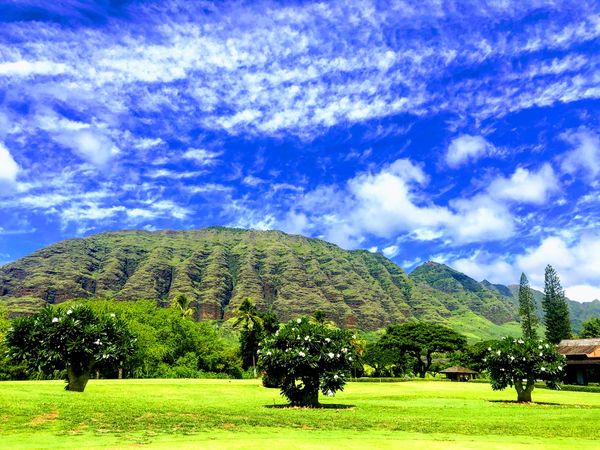 アメリカ(米国)・オアフ島「初FLYING HONU🐢」の写真