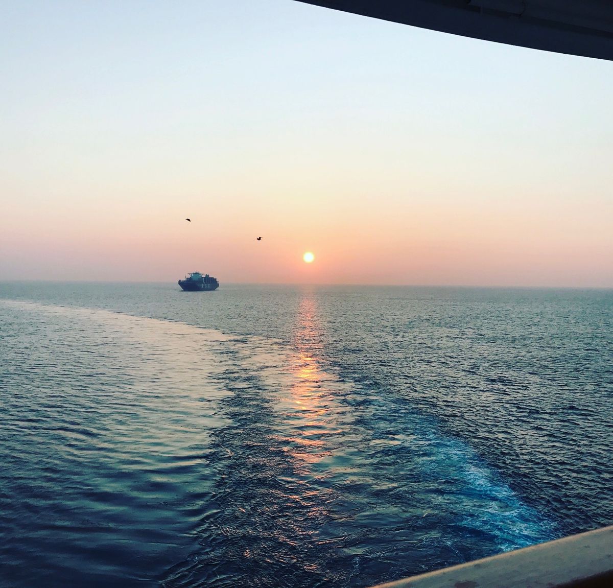 いつでも美しい街。バルセロナ。街歩きも楽しいけど、サクラダファミリア教会が...