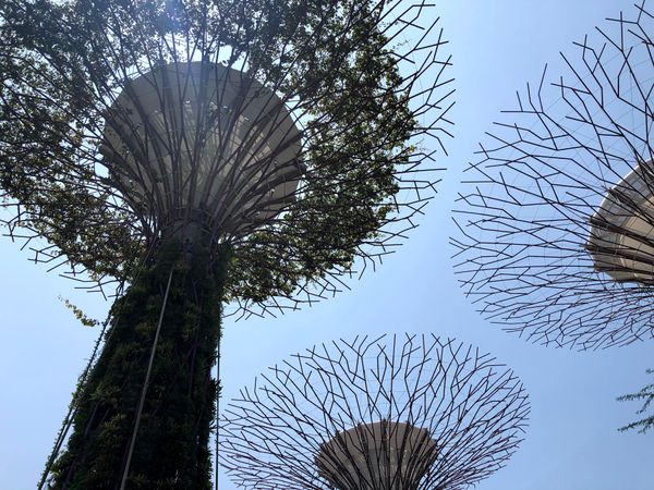 シンガポール「親子旅」の写真