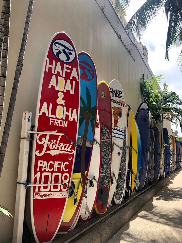 アメリカ(米国)・ワイキキ「ハワイ旅」の写真