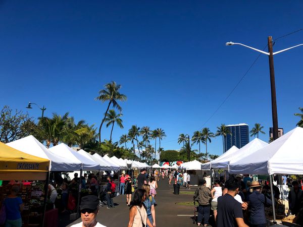 アメリカ(米国)・ワイキキ「ハワイ旅」の写真