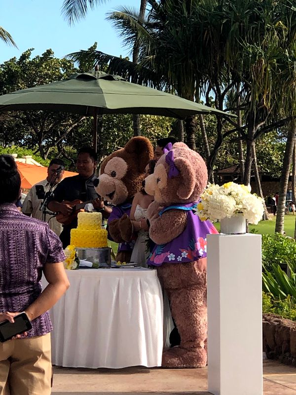 アメリカ(米国)・ワイキキ「ハワイ旅」の写真